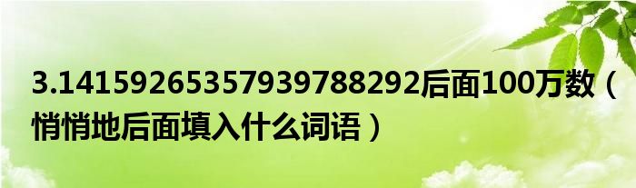 3.14159265357939788292后面100万数 悄悄地后面填入什么词语