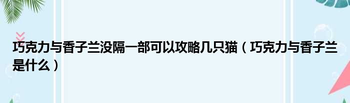 巧克力与香子兰没隔一部可以攻略几只猫 巧克力与香子兰是什么