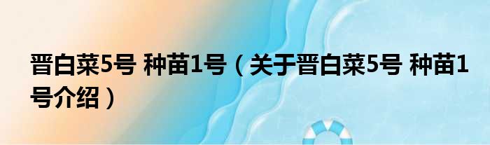 晋白菜5号 种苗1号 关于晋白菜5号 种苗1号介绍