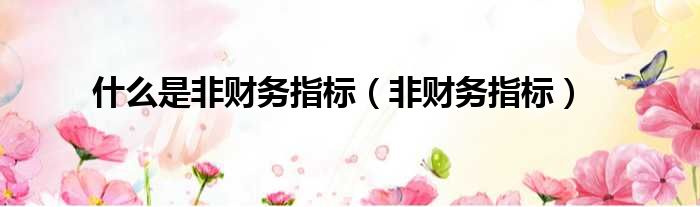 什么是非财务指标 非财务指标