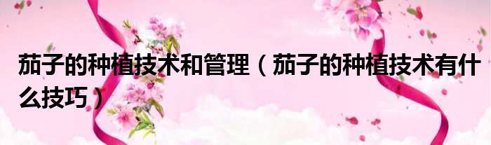 茄子的种植技术和管理 茄子的种植技术有什么技巧