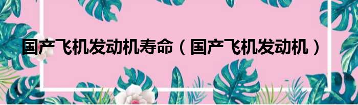 国产飞机发动机寿命 国产飞机发动机