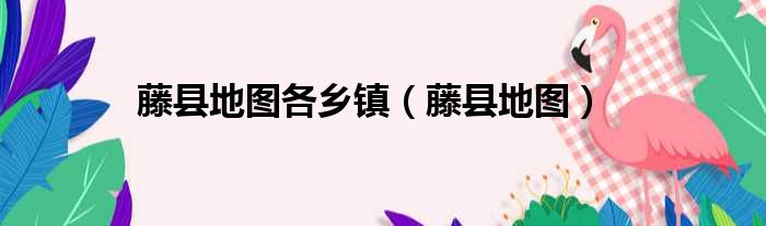 藤县地图各乡镇 藤县地图