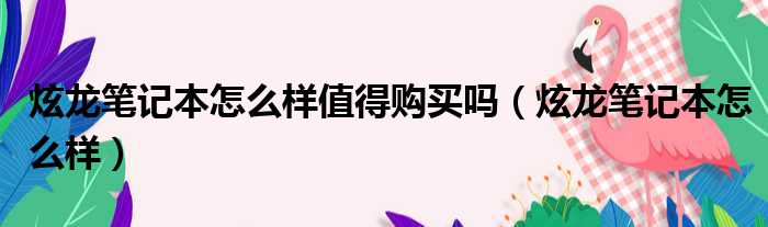 炫龙笔记本怎么样值得购买吗 炫龙笔记本怎么样