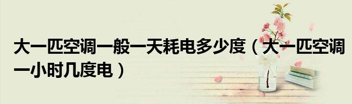 大一匹空调一般一天耗电多少度 大一匹空调一小时几度电