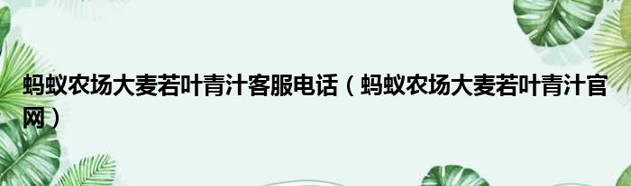 蚂蚁农场大麦若叶青汁客服电话 蚂蚁农场大麦若叶青汁官网