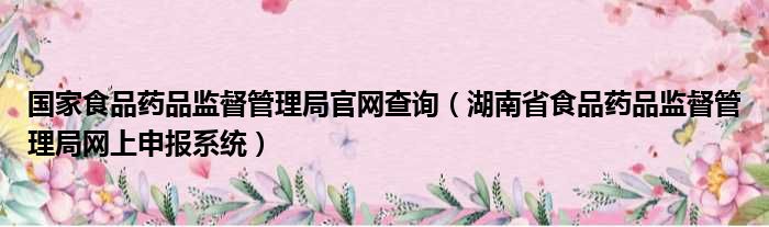 国家食品药品监督管理局官网查询 湖南省食品药品监督管理局网上申报系统