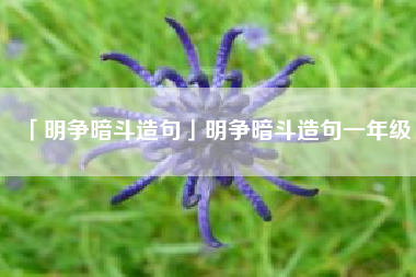  明争暗斗造句明争暗斗造句一年级