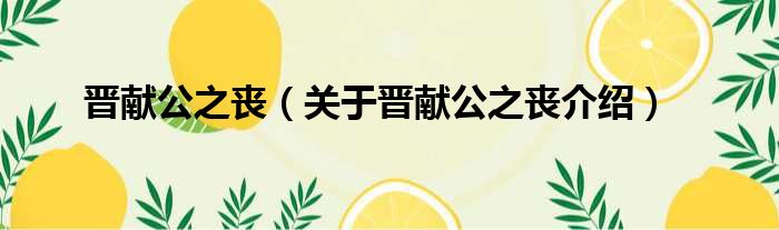 晋献公之丧 关于晋献公之丧介绍