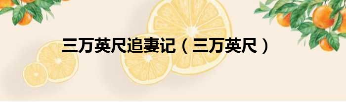 三万英尺追妻记 三万英尺