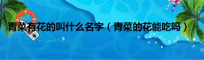 青菜有花的叫什么名字 青菜的花能吃吗