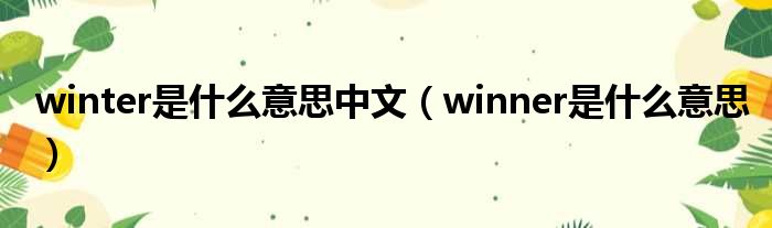 winter是什么意思中文 winner是什么意思