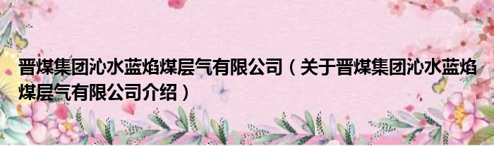 晋煤集团沁水蓝焰煤层气有限公司 关于晋煤集团沁水蓝焰煤层气有限公司介绍
