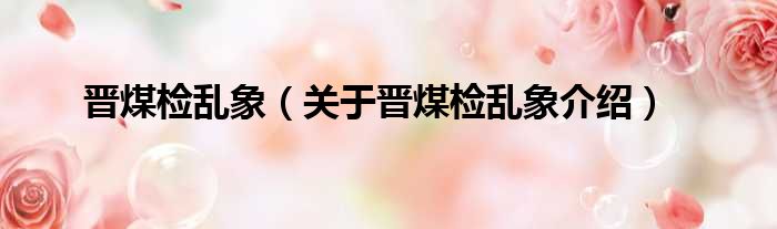 晋煤检乱象 关于晋煤检乱象介绍