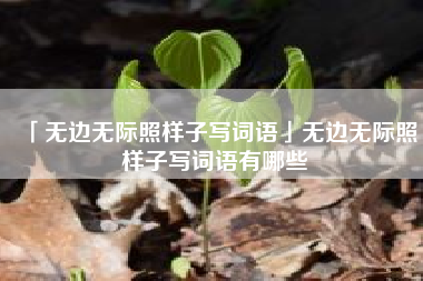  无边无际照样子写词语无边无际照样子写词语有哪些