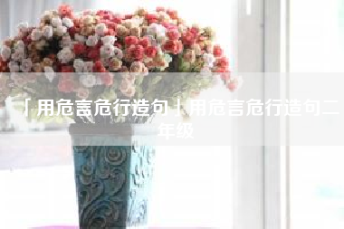  用危言危行造句用危言危行造句二年级