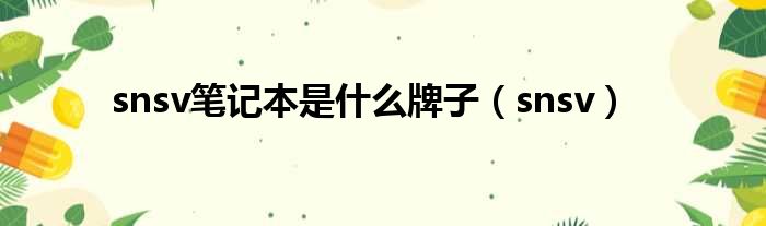 snsv笔记本是什么牌子 snsv