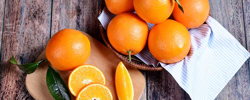 脐橙的害虫防治 脐橙的病虫害防治