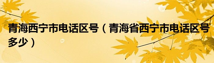 青海西宁市电话区号 青海省西宁市电话区号多少