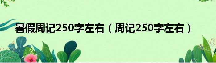 暑假周记250字左右 周记250字左右