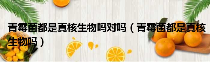 青霉菌都是真核生物吗对吗 青霉菌都是真核生物吗