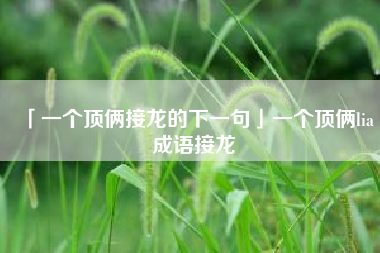  一个顶俩接龙的下一句一个顶俩lia成语接龙