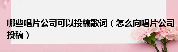 哪些唱片公司可以投稿歌词 怎么向唱片公司投稿