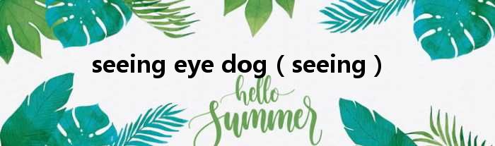 seeing eye dog seeing