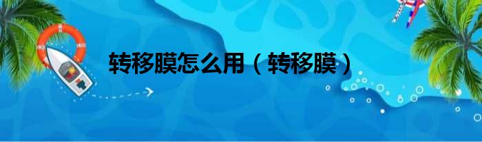 转移膜怎么用 转移膜