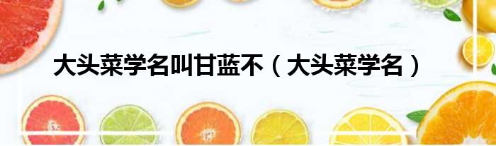 大头菜学名叫甘蓝不 大头菜学名