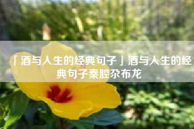  酒与人生的经典句子酒与人生的经典句子秦腔尕布龙