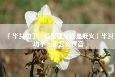  毕其功于一役是褒义还是贬义毕其功于一役怎么读音