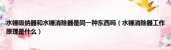 水锤吸纳器和水锤消除器是同一种东西吗 水锤消除器工作原理是什么