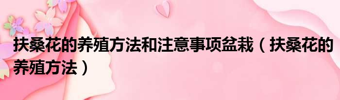 扶桑花的养殖方法和注意事项盆栽 扶桑花的养殖方法
