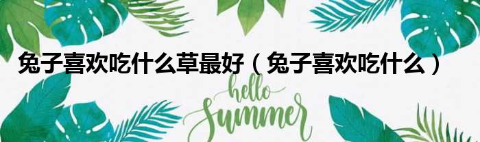 兔子喜欢吃什么草最好 兔子喜欢吃什么