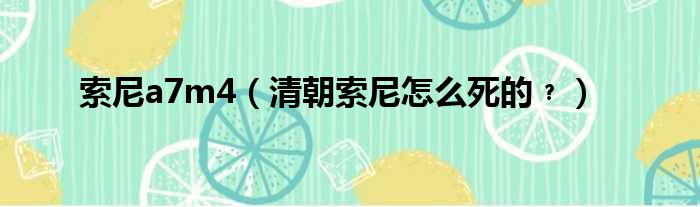 索尼a7m4 清朝索尼怎么死的﹖