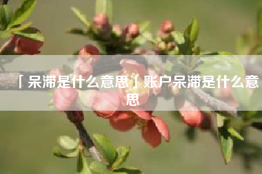  呆滞是什么意思账户呆滞是什么意思