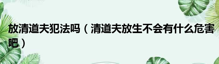 放清道夫犯法吗 清道夫放生不会有什么危害吧