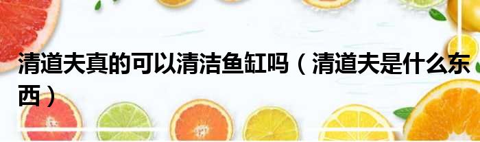 清道夫真的可以清洁鱼缸吗 清道夫是什么东西