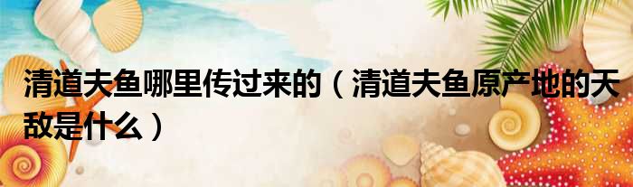 清道夫鱼哪里传过来的 清道夫鱼原产地的天敌是什么