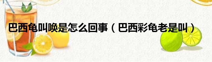 巴西龟叫唤是怎么回事 巴西彩龟老是叫