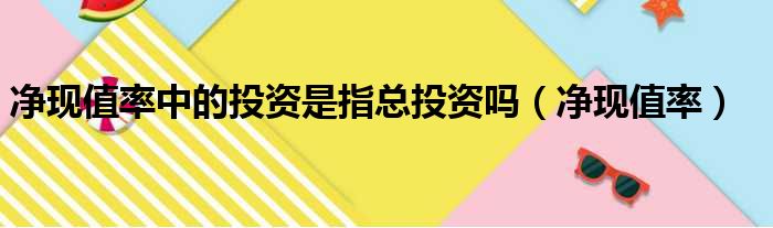 净现值率中的投资是指总投资吗 净现值率