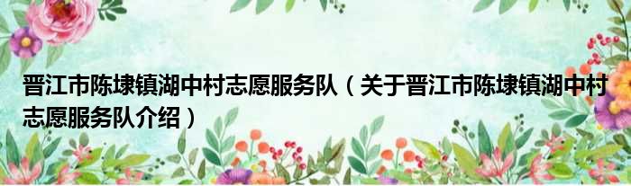 晋江市陈埭镇湖中村志愿服务队 关于晋江市陈埭镇湖中村志愿服务队介绍