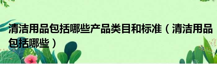 清洁用品包括哪些产品类目和标准 清洁用品包括哪些