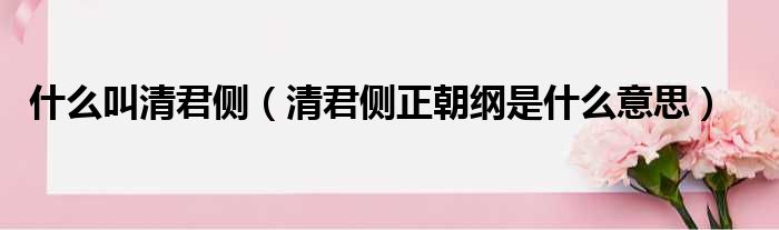 什么叫清君侧 清君侧正朝纲是什么意思