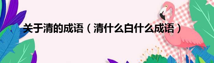 关于清的成语 清什么白什么成语