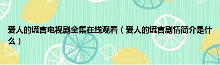 爱人的谎言电视剧全集在线观看 爱人的谎言剧情简介是什么