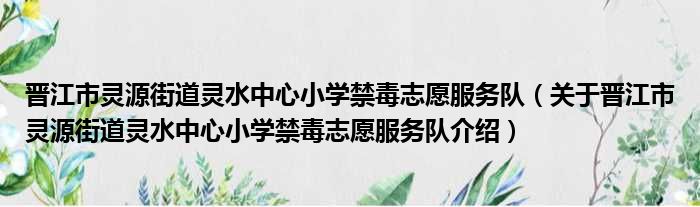 晋江市灵源街道灵水中心小学禁毒志愿服务队 关于晋江市灵源街道灵水中心小学禁毒志愿服务队介绍