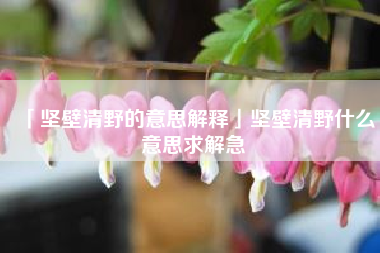  坚壁清野的意思解释坚壁清野什么意思求解急