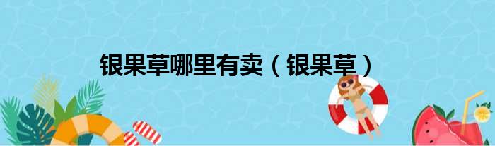 银果草哪里有卖 银果草